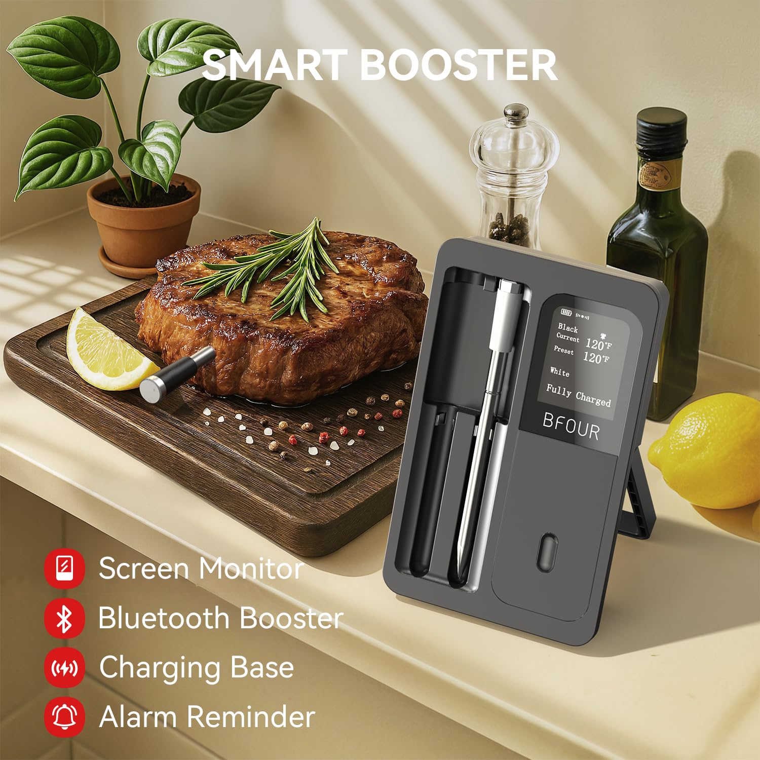 Kablosuz Et Termometresi Bluet - Kitchen Appliances Video incelemesi ve fiyatı